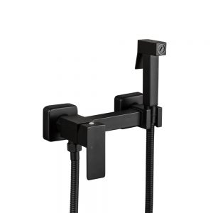 Смеситель с гигиеническим душем Frap F7504-6